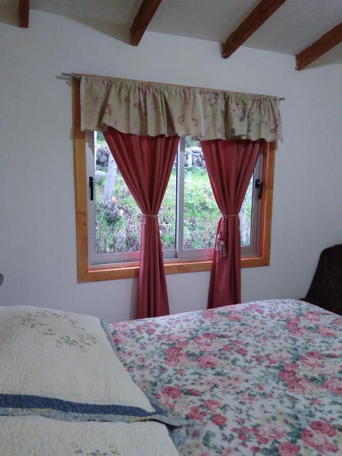 Flor/Victoria Bed and Breakfast Villarrica Exteriör bild
